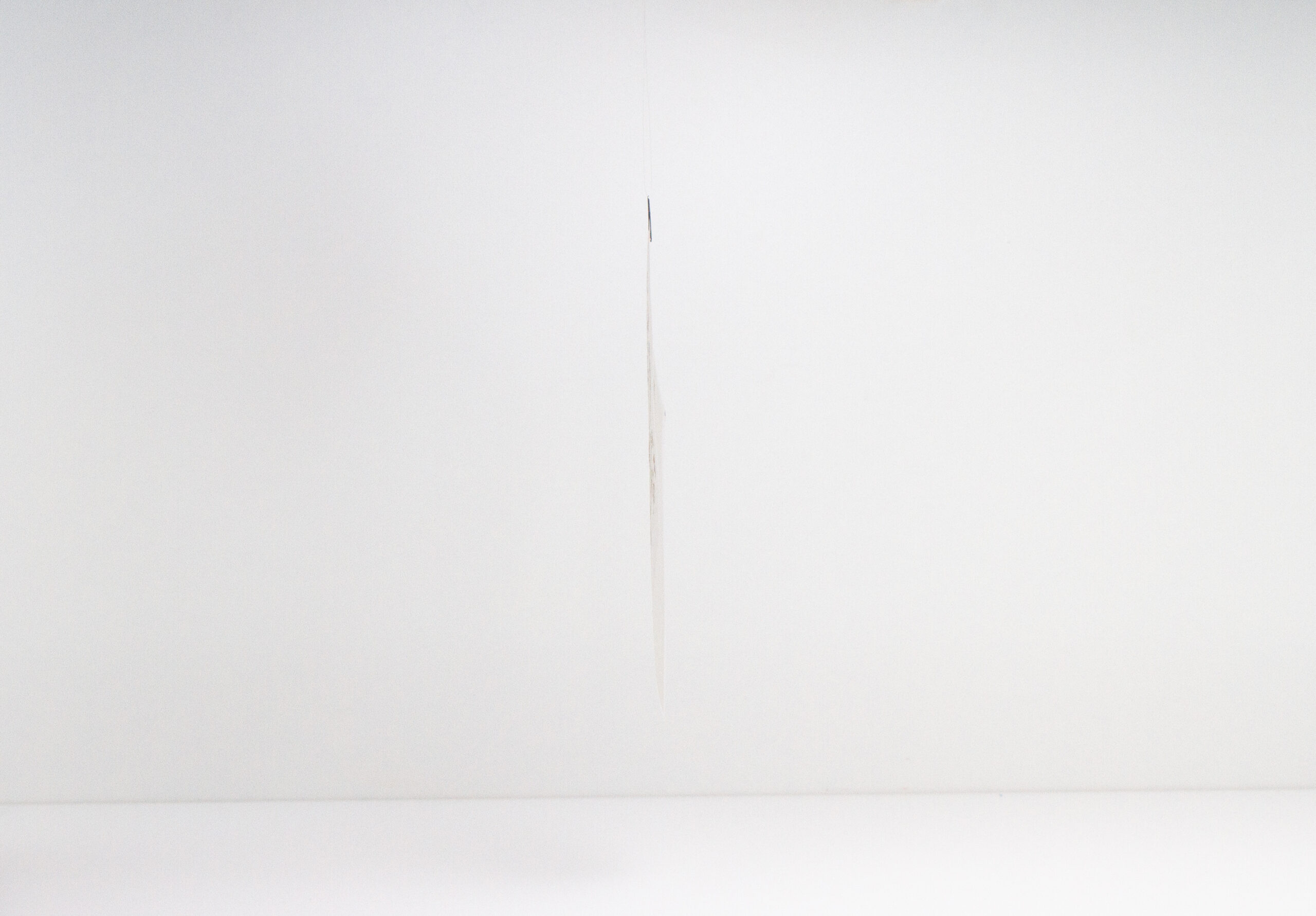 Not Valid For Identification Purposes — installation view Not Valid For Identification Purposes suspended nearly invisibly against a white wall.